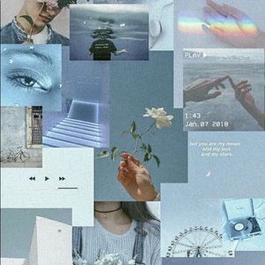 Meet your Posher, Scarlett